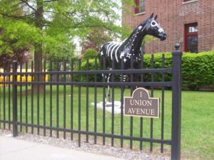 Ornamental Fence Photo